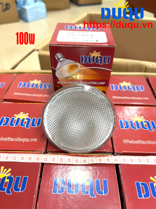 Đèn Tia Nắng 100W 3